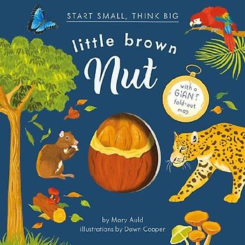 Little Brown Nut