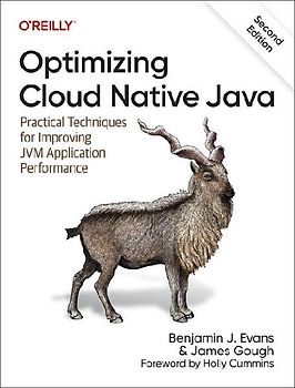 Optimizing Cloud Native Java