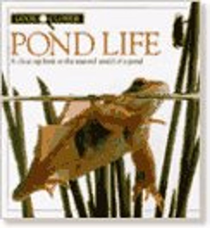 Pond Life (Look Closer)