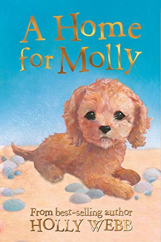 A Home for Molly (Holly Webb Animal Stories, Band 31)