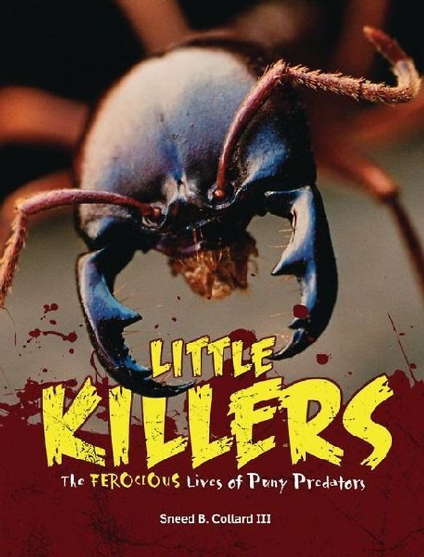 Little Killers