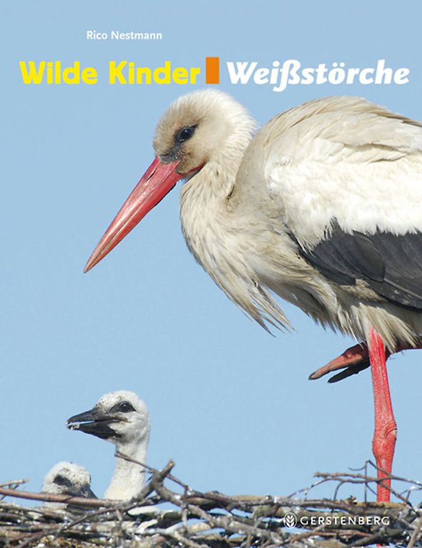 Wilde Kinder - Weißstörche