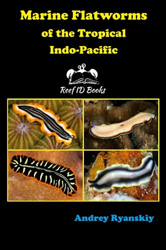 Marine Flatworms of the Tropical Indo-Pacific (Coral Reef Academy: Indo-Pacific Photo Guides, Band 6)