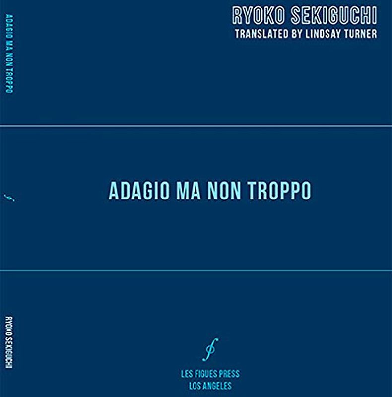 Adagio Ma Non Troppo (Global Poetics, Band 6)