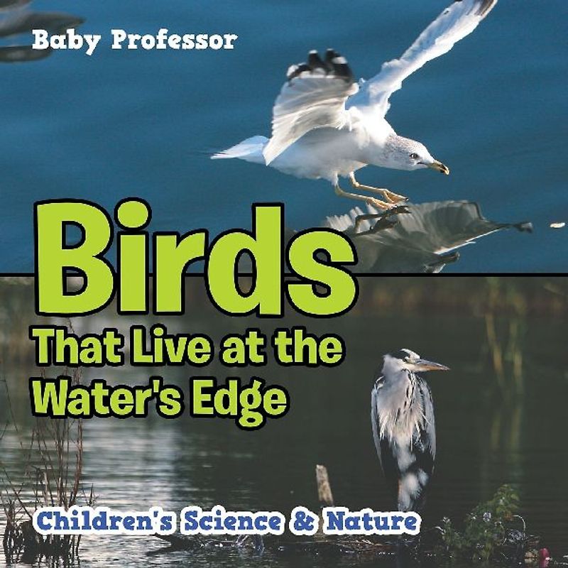 Birds That Live at the Water's Edge | Children's Science & Nature