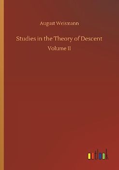 Studies in the Theory of Descent