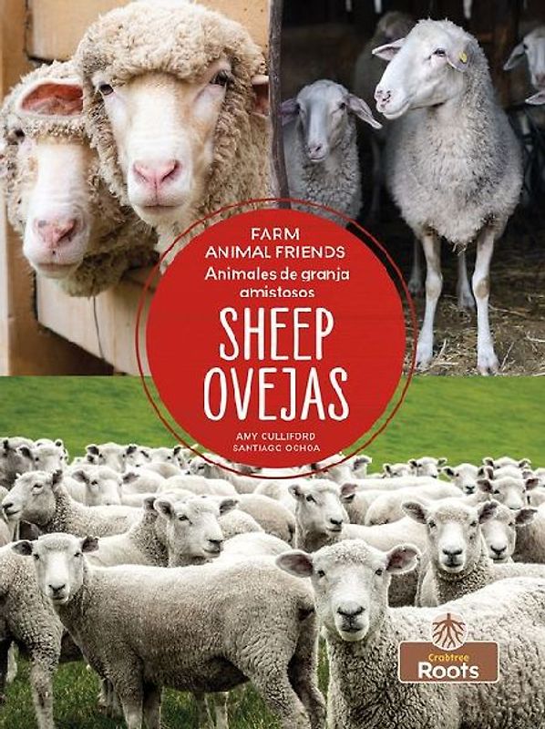 Ovejas (Sheep) Bilingual Eng/Spa