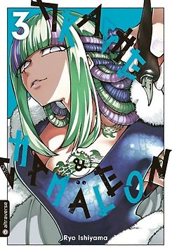 Drache & Chamäleon 03