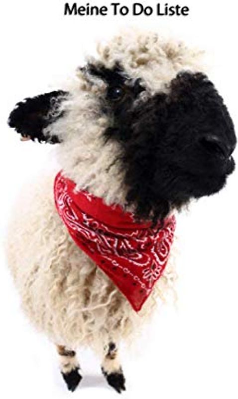 Meine TO DO Liste: Walliser Schwarznasenschaf - Softcover, 120 Seiten mit Vorlagen zum ausfüllen (TO DO Liste - viele weitere Cover mit diversen Tieren, Band 17)