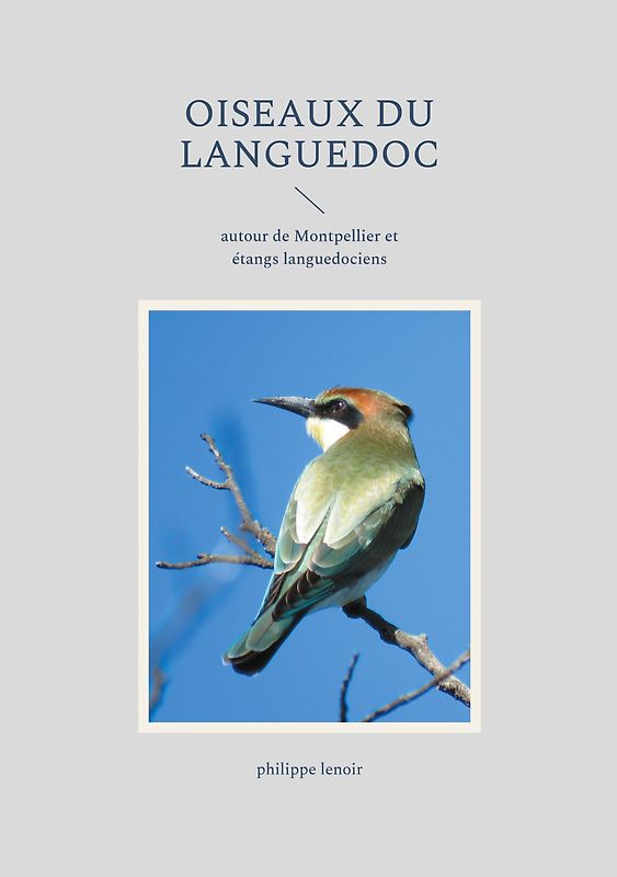 Oiseaux du Languedoc