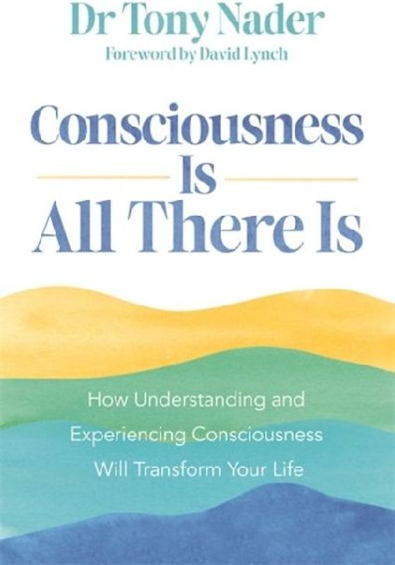Consciousness Is All There Is