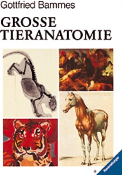 Die grosse Tieranatomie