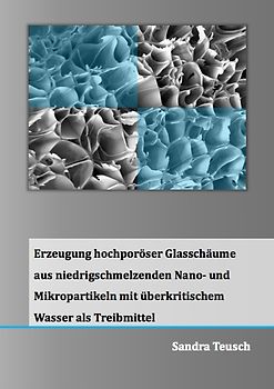 Erzeugung hochporöser Glasschäume aus niedrigschmelzenden Nano- und Mikropartikeln mit überkritischem Wasser als Treibmittel