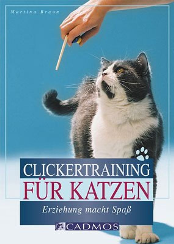 Clickertraining für Katzen