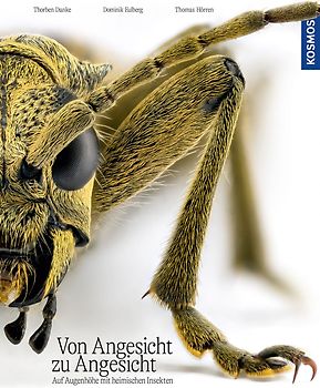 Von Angesicht zu Angesicht