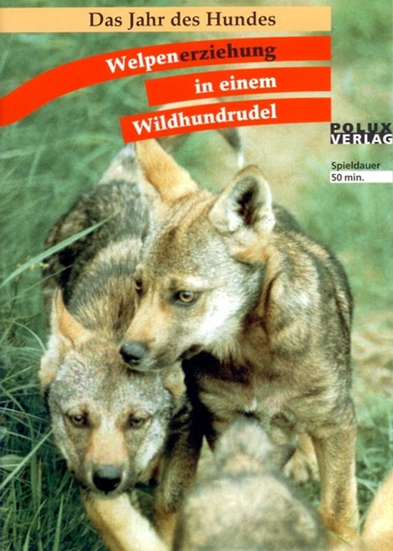Das Jahr des Hundes - Welpenerziehung in einem Wildhundrudel DVD