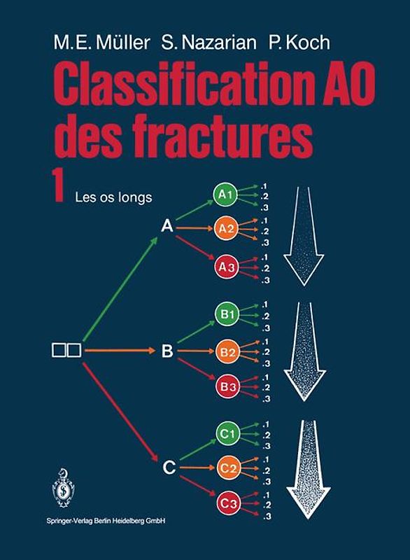 Classification AO des fractures