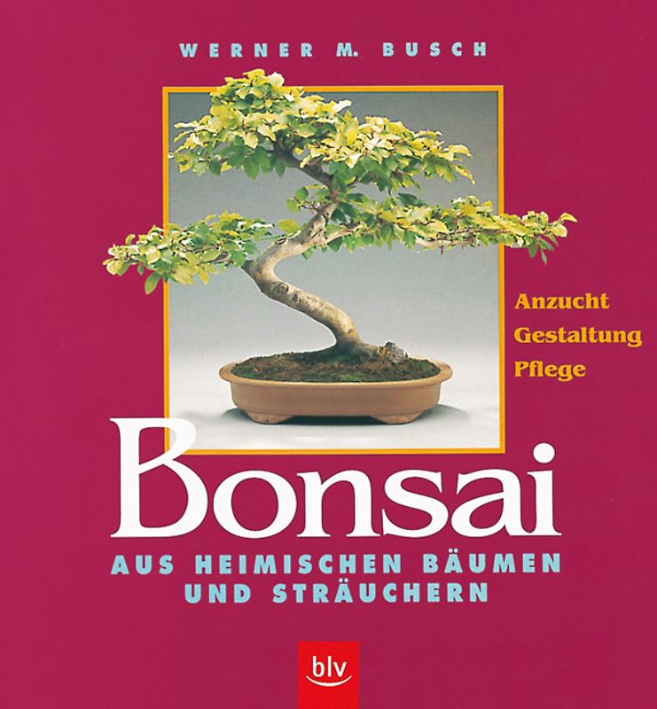 Bonsai aus heimischen Bäumen und Sträuchern