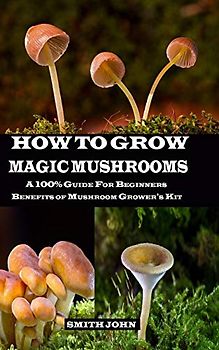 HOW TO GROW MAGIC MUSHROOMS: A 100% Guide for Beginners. Benefits of Mushroom Grower's kit