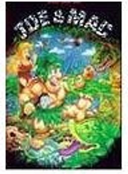 Joe und Mac - Caveman Ninja NES