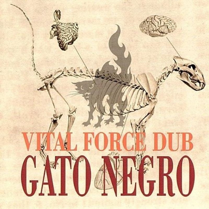 Gato Negro - Vital Force Dub