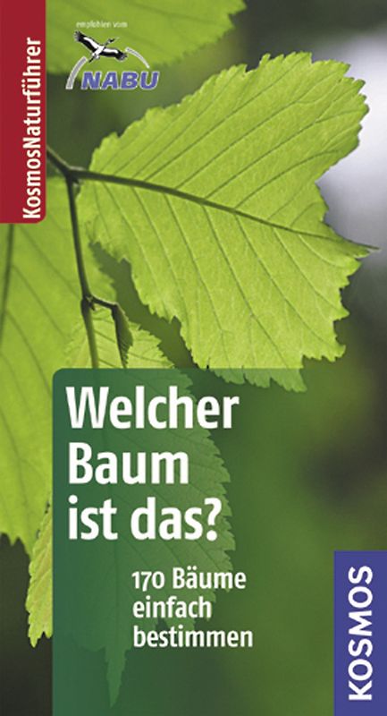 Welcher Baum ist das?