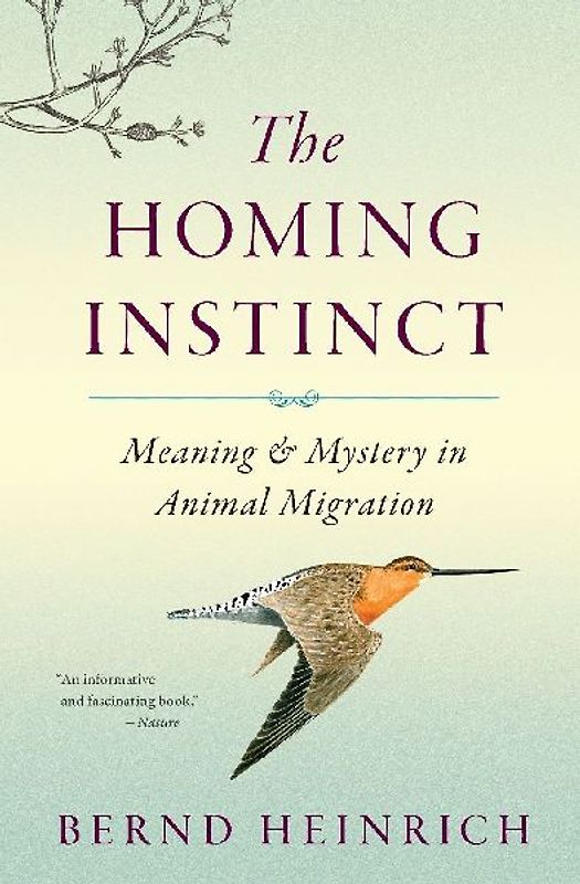 The Homing Instinct