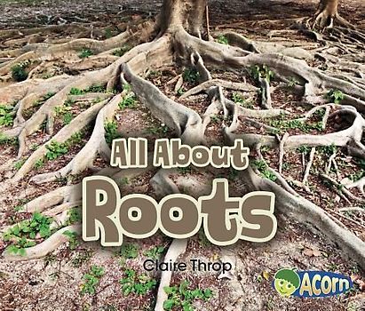 All about Roots