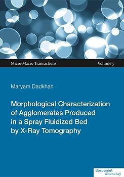 Morphological Characterization of Agglomerates Produced in a Spray Fluidized Bed by X-Ray Tomography