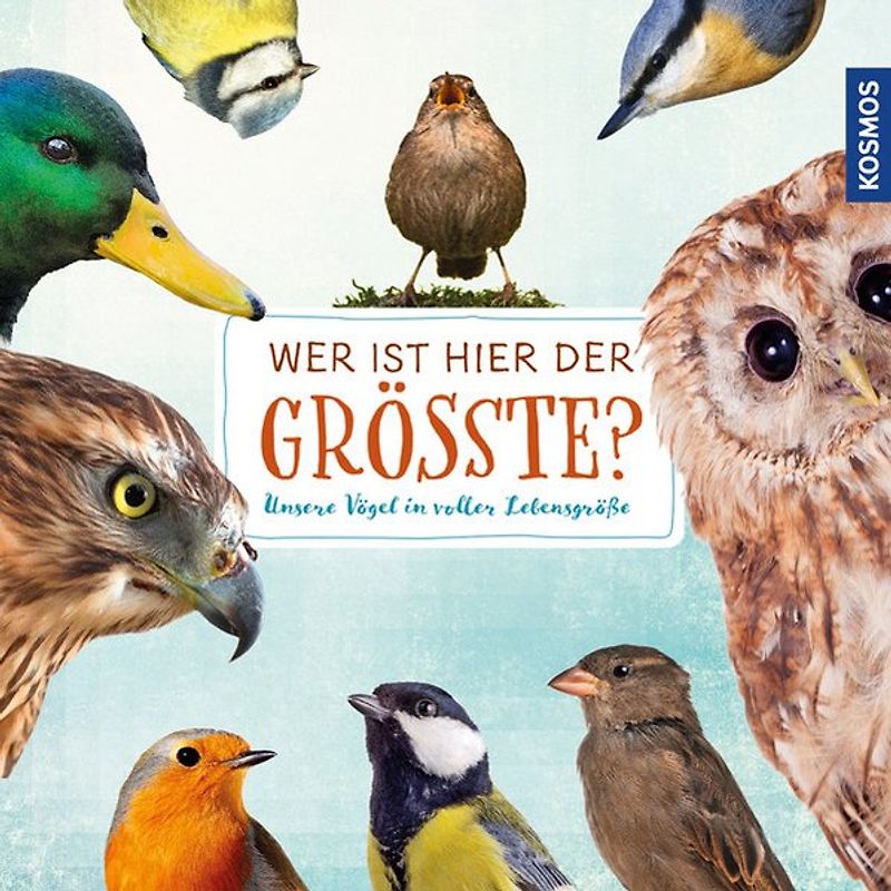 Wer ist hier der Größte?