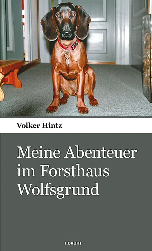 Meine Abenteuer im Forsthaus Wolfsgrund