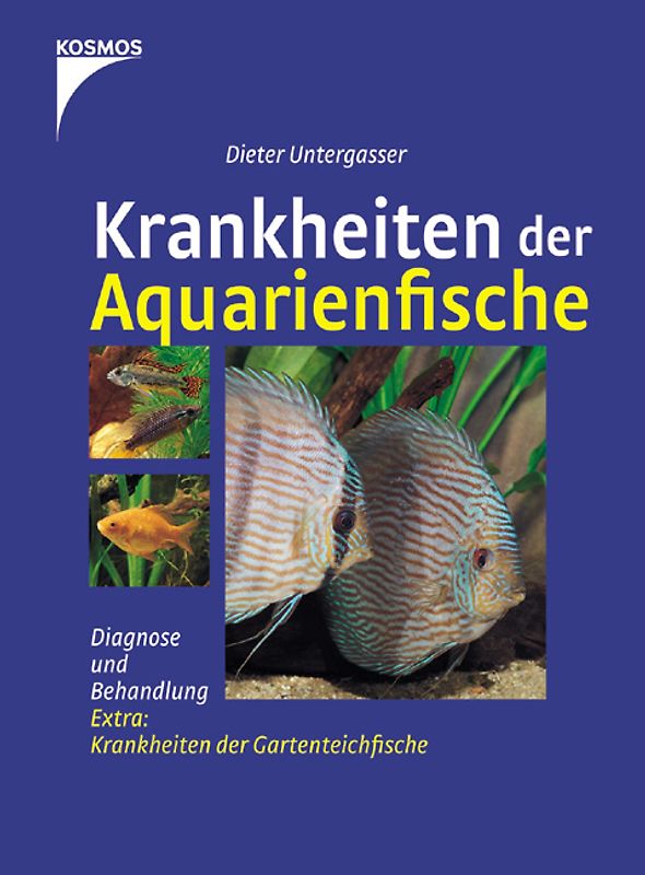 Krankheiten der Auqarienfische