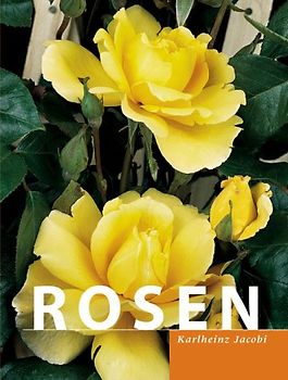 Rosen