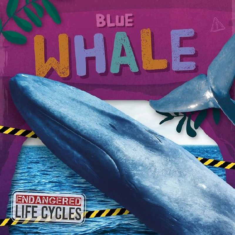 Blue Whale