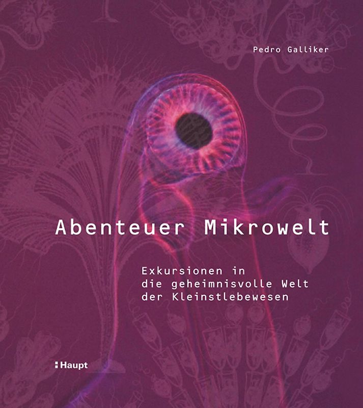 Abenteuer Mikrowelt