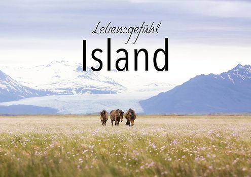 Lebensgefühl Island