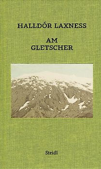 Am Gletscher