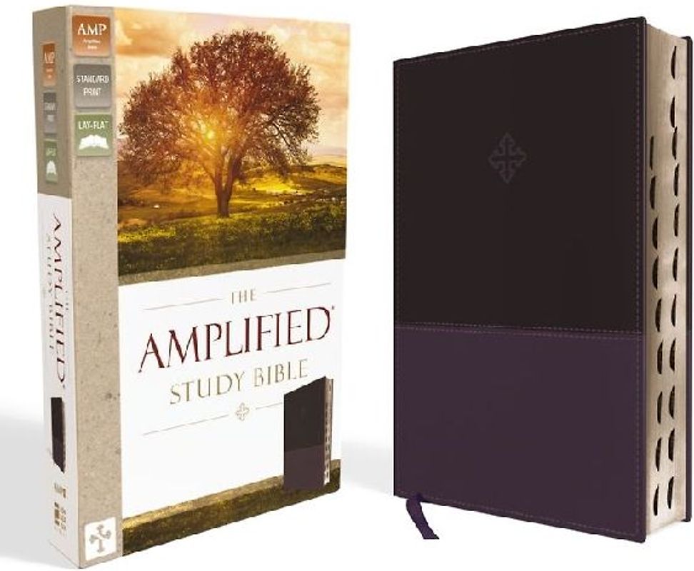 The Amplified Study Bible, Leathersoft, Purple, Thumb Indexed