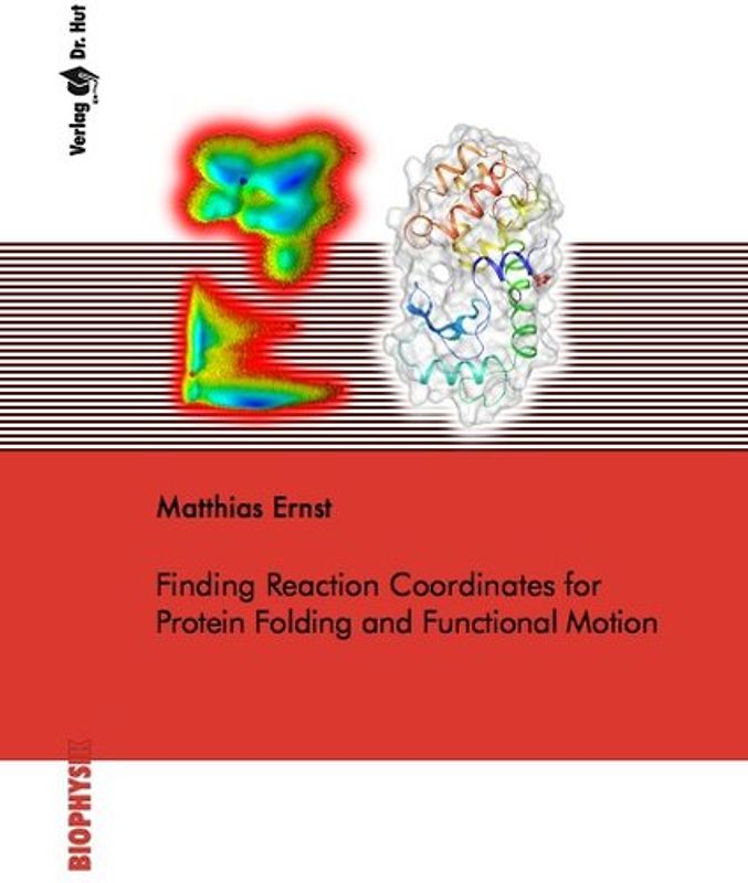 Finding Reaction Coordinates for Protein Folding and Functional Motion