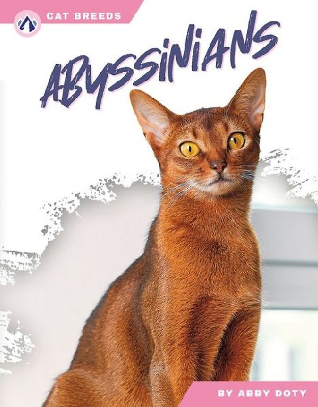 Abyssinians