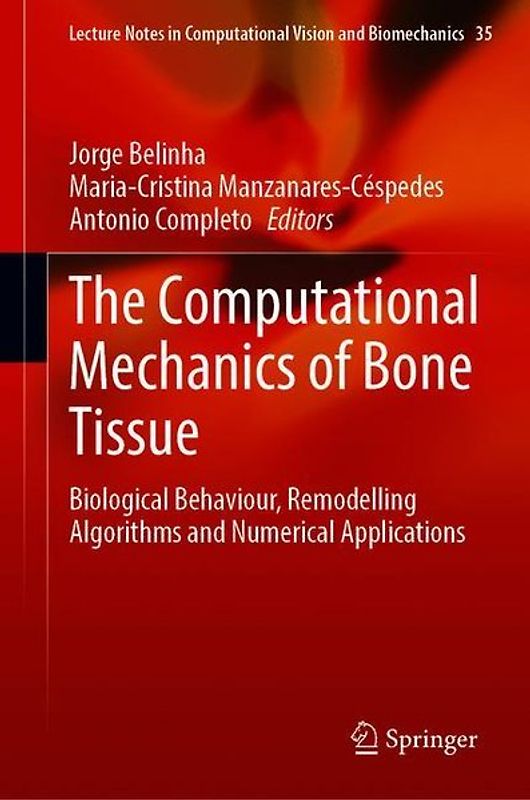 The Computational Mechanics of Bone Tissue