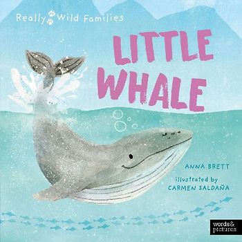Little Whale