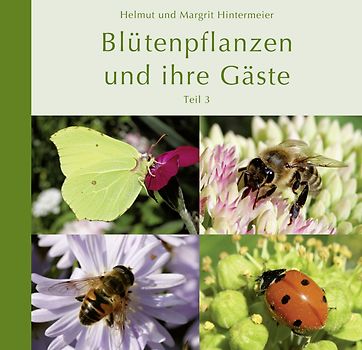 Blütenpflanzen und ihre Gäste (Teil 3)