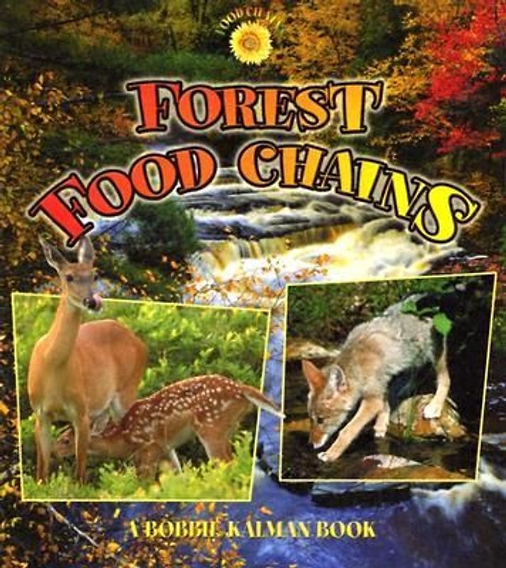 Forest Food Chains