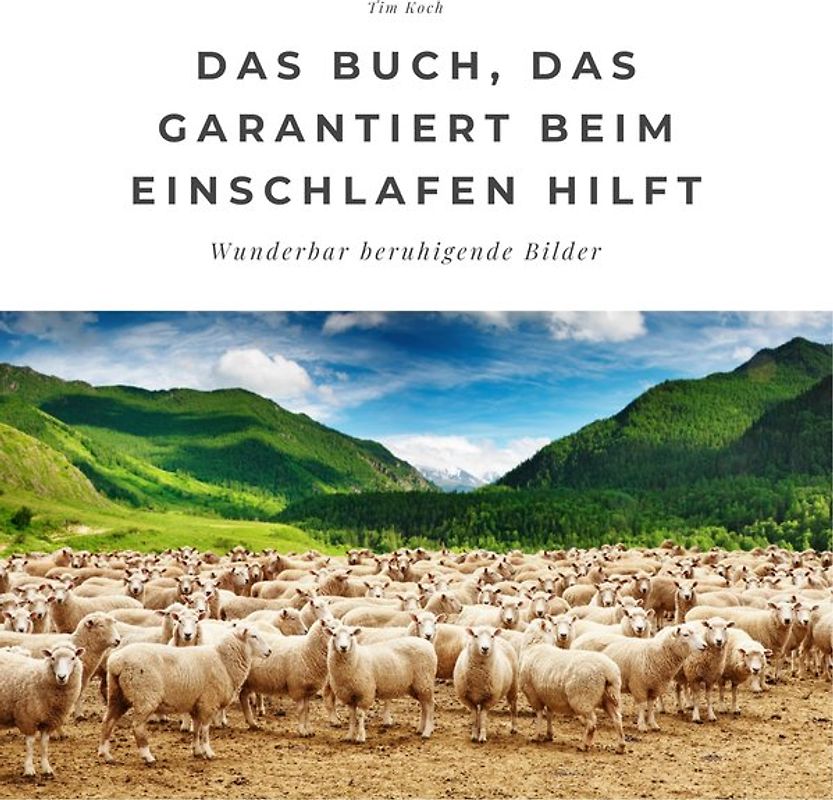 Das Buch, das garantiert beim Einschlafen hilft