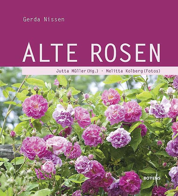 Alte Rosen