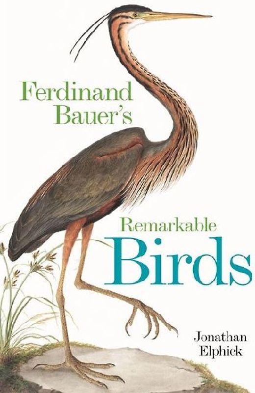 Ferdinand Bauer's Remarkable Birds