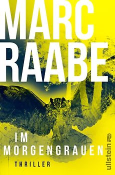 Im Morgengrauen (Art Mayer-Serie 4)