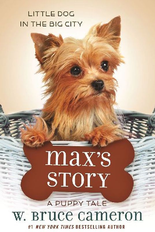 Max's Story