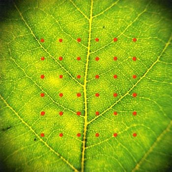 Zawose & Brook - Assembly